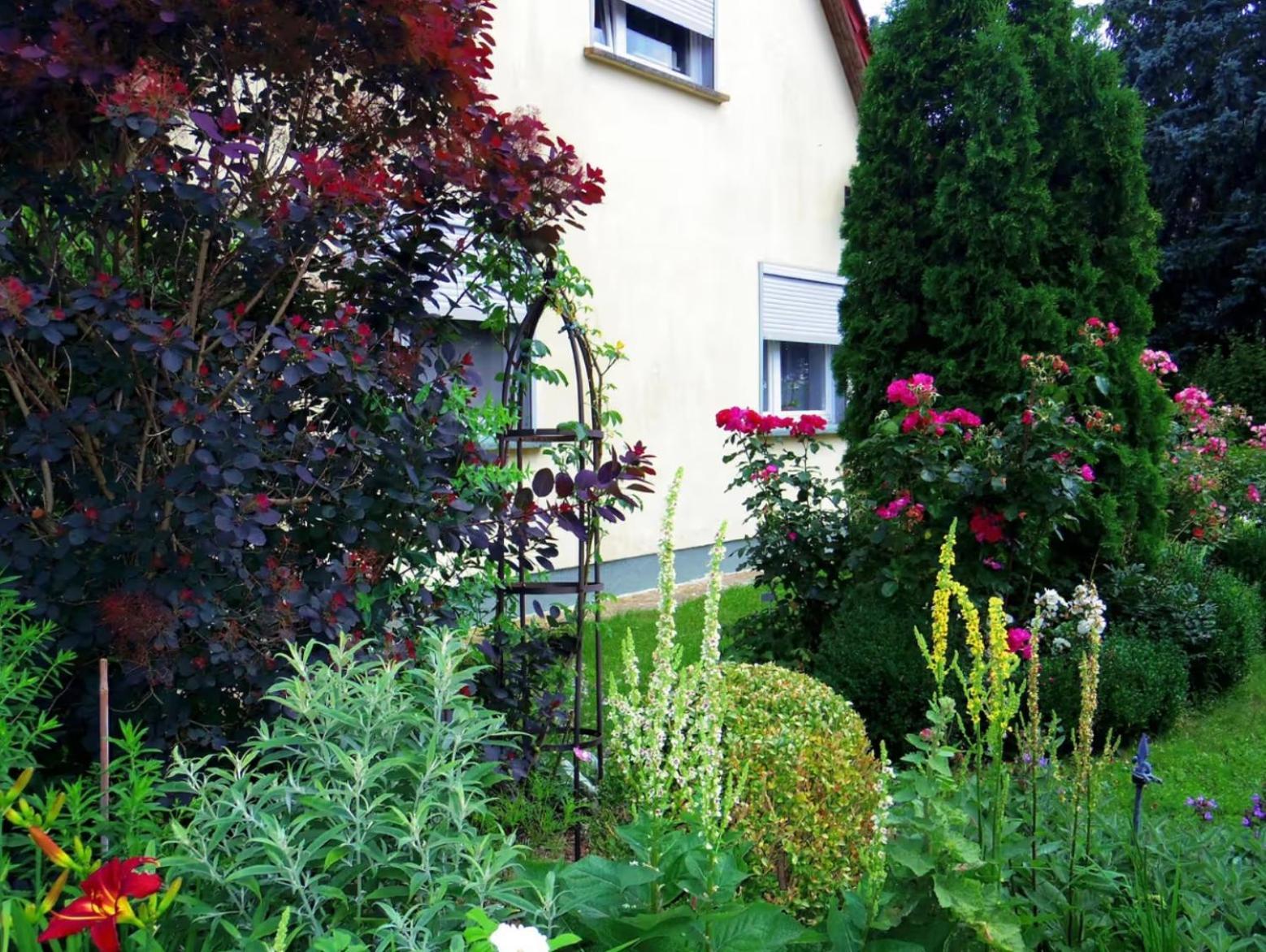 Ferienwohnung im Blumengarten Angermunde Exterior foto