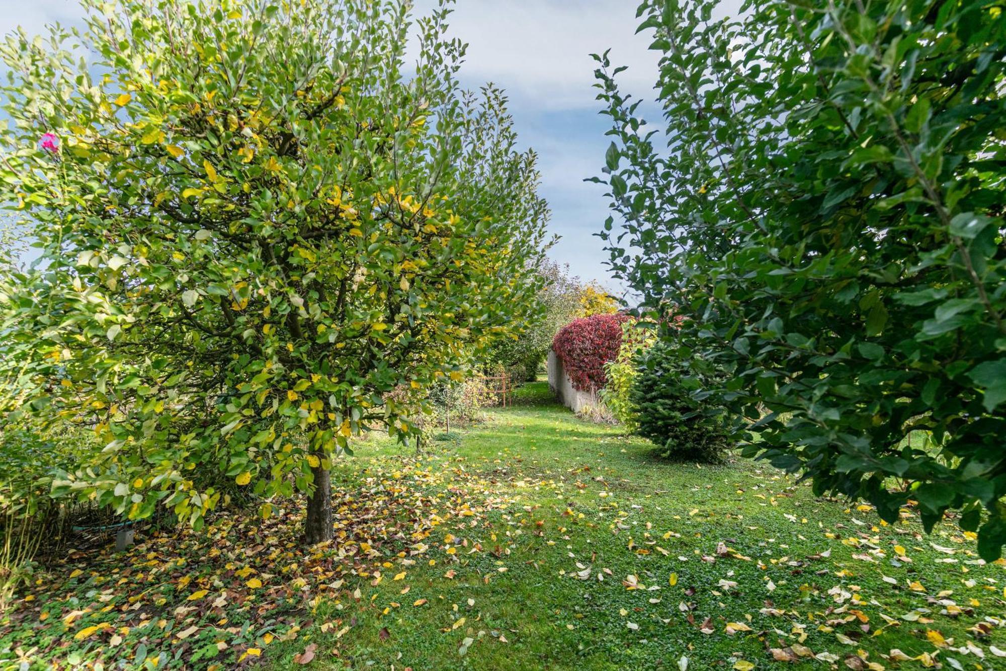 Ferienwohnung im Blumengarten Angermunde Exterior foto