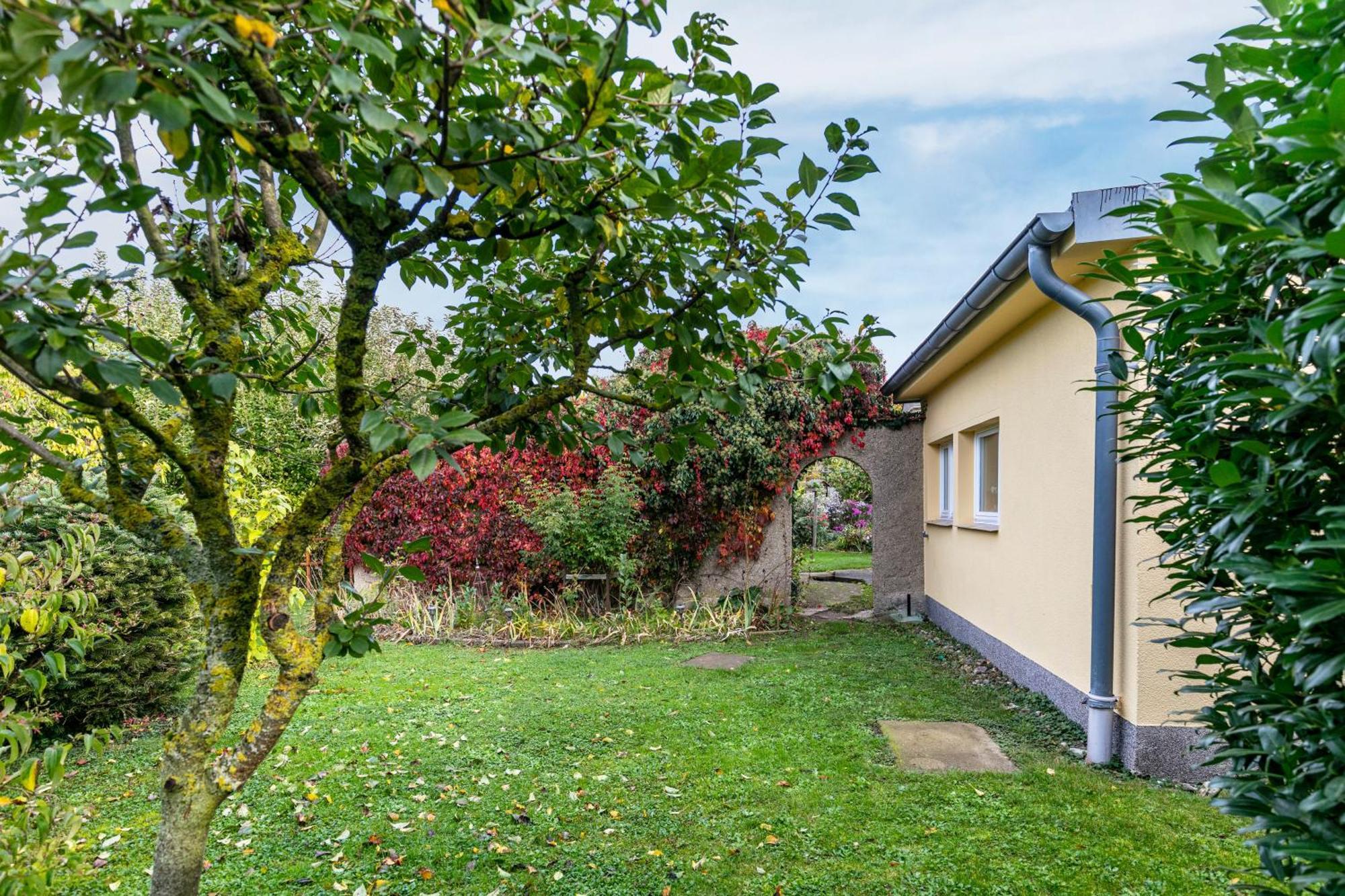 Ferienwohnung im Blumengarten Angermunde Exterior foto