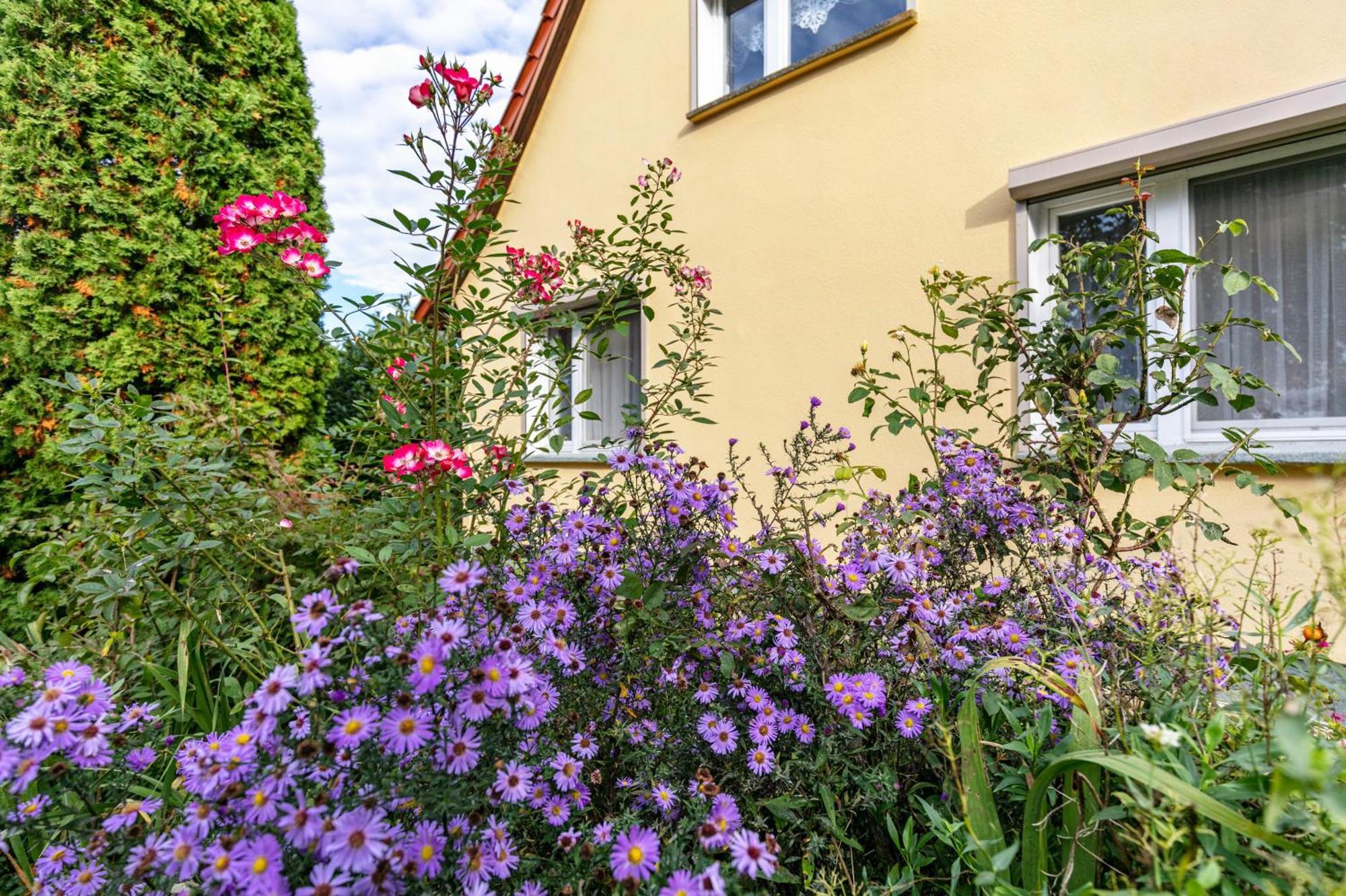 Ferienwohnung im Blumengarten Angermunde Exterior foto